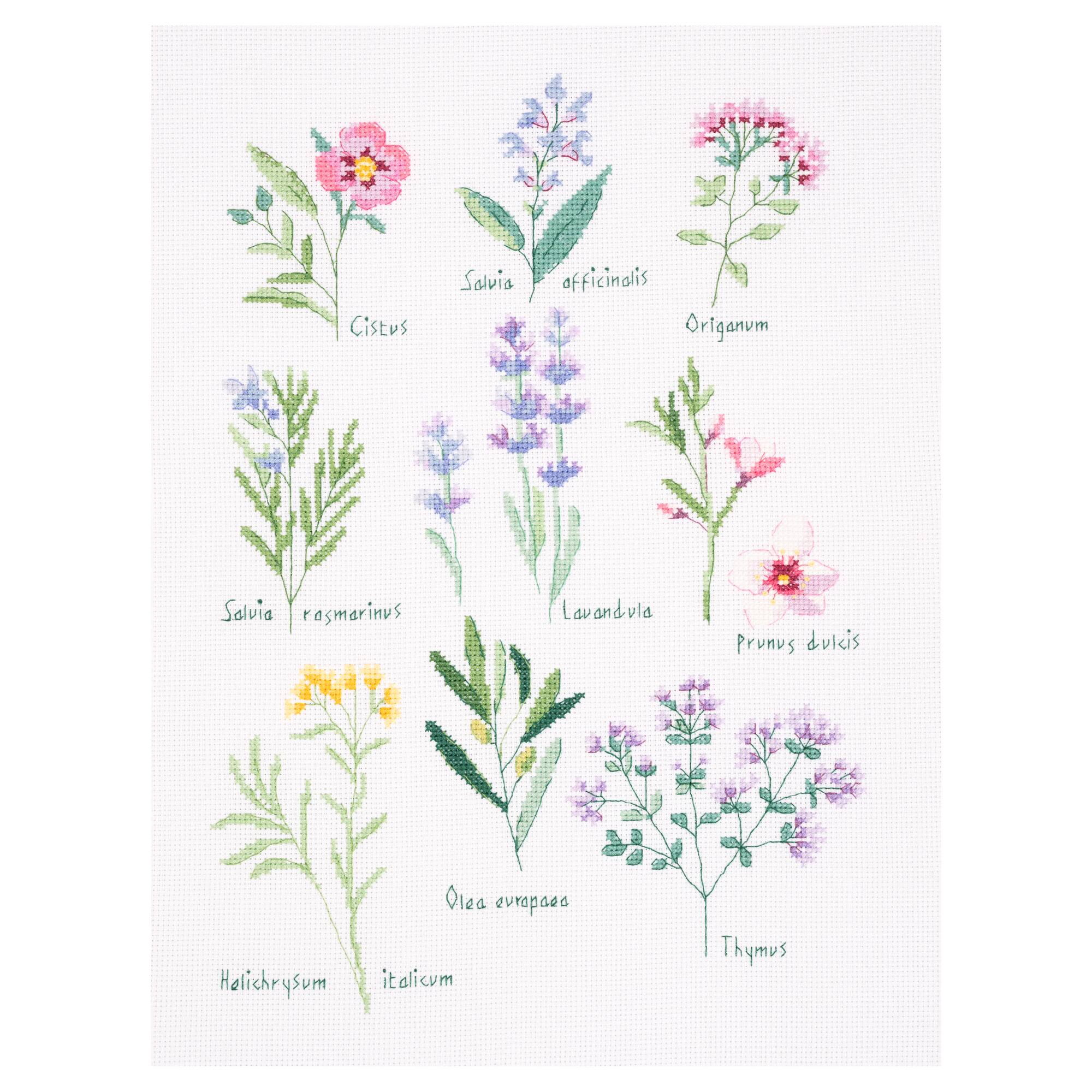 DMC® Herbs Intermediate Counted Cross Stitch Kit